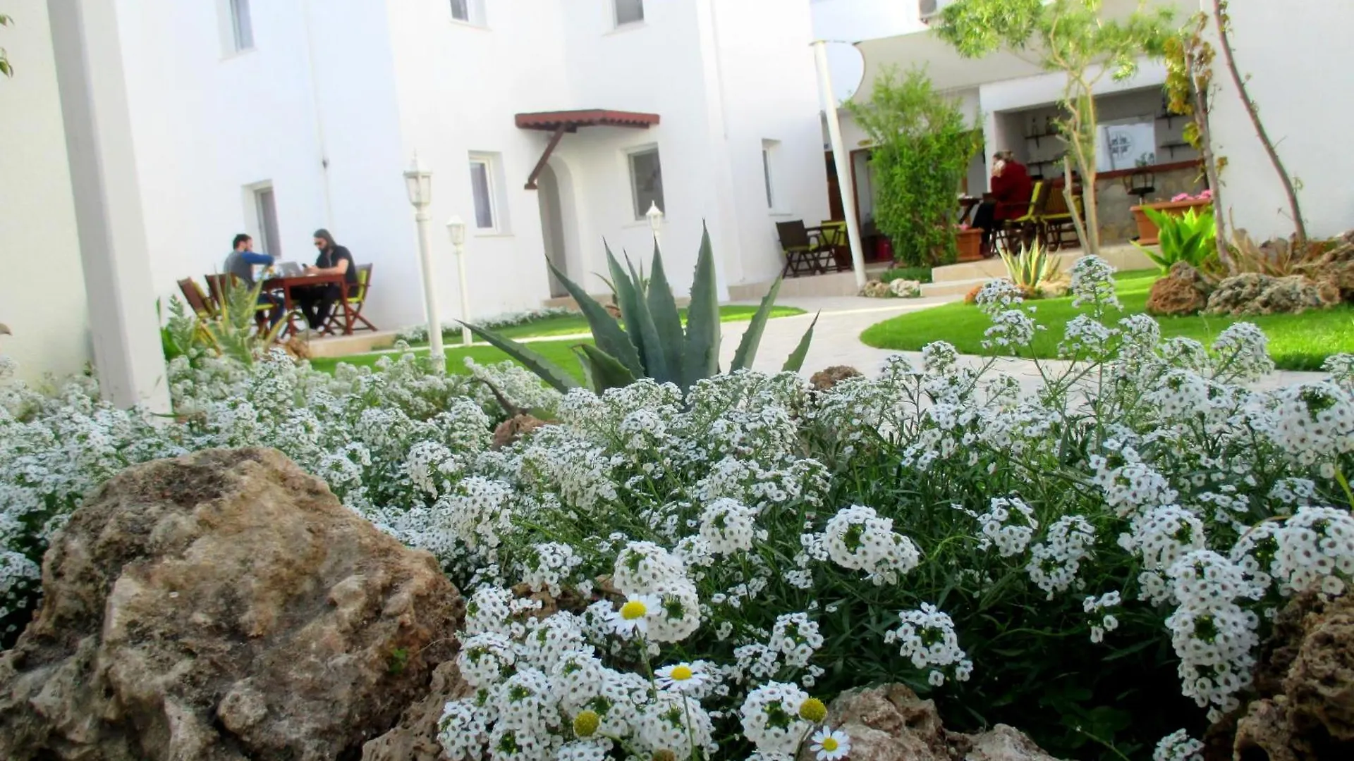 Canna Garden Hotel - Adult Only Gümbet